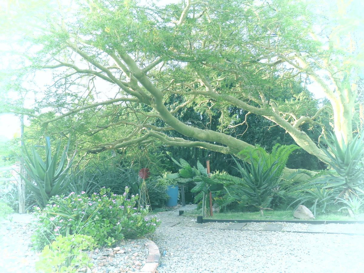 Wiltshire Rondavel Villa Port Alfred Buitenkant foto